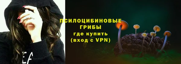 молекула духа Болохово