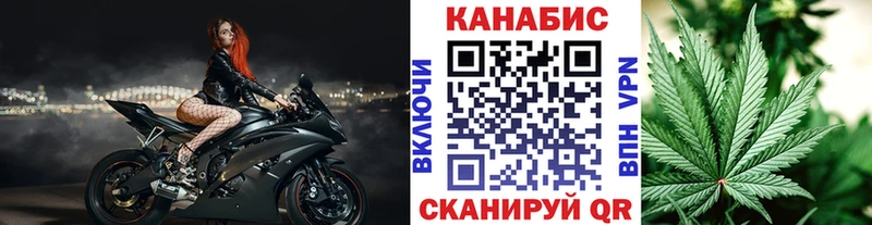 KRAKEN зеркало  Суджа  Каннабис Amnesia  как найти закладки 