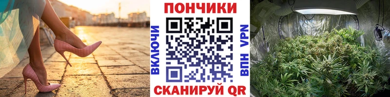 Бошки Шишки MAZAR Суджа